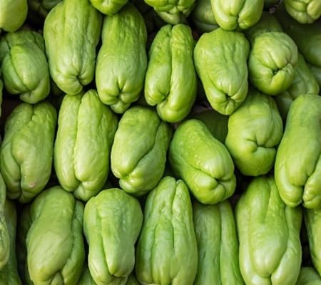 Chayote Seeds – Heirloom, Non-GMO, High Germination Organic Garden Seeds Planting