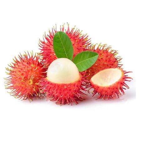 Red Rambutan Seeds – Heirloom, Non-GMO, High Germination Organic Garden Seeds