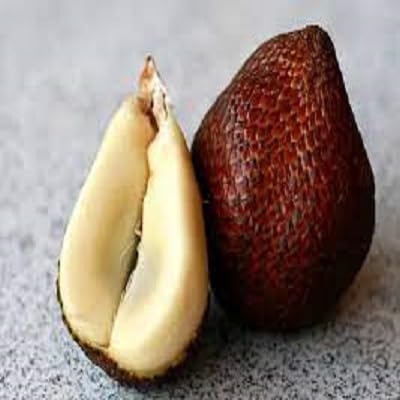 Salak Seeds Brown – Heirloom, Non-GMO, High Germination Organic Garden Seeds