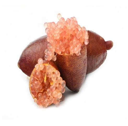 Red Finger Lime Seeds – Heirloom, Non-GMO, High Germination Organic Garden Seeds