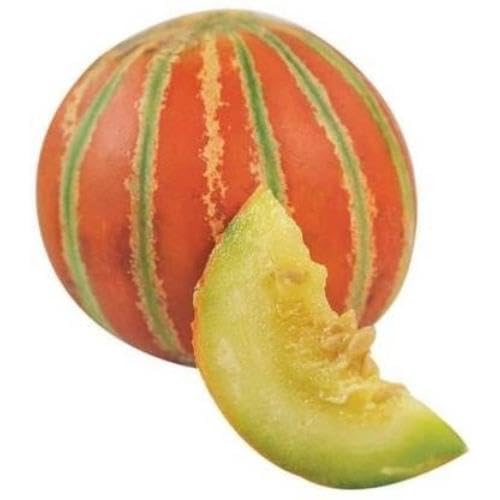 Orange Kajari Melon Seeds – Heirloom, Non-GMO, High Germination Organic Garden Seeds