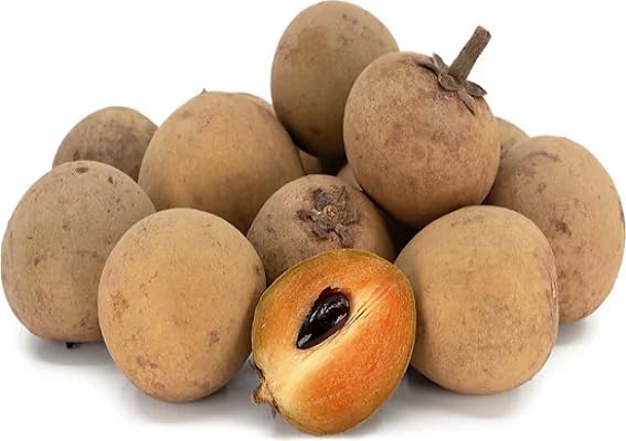 Brown Sapodilla Fruit Seeds – Heirloom, Non-GMO, High Germination Organic Garden Seeds