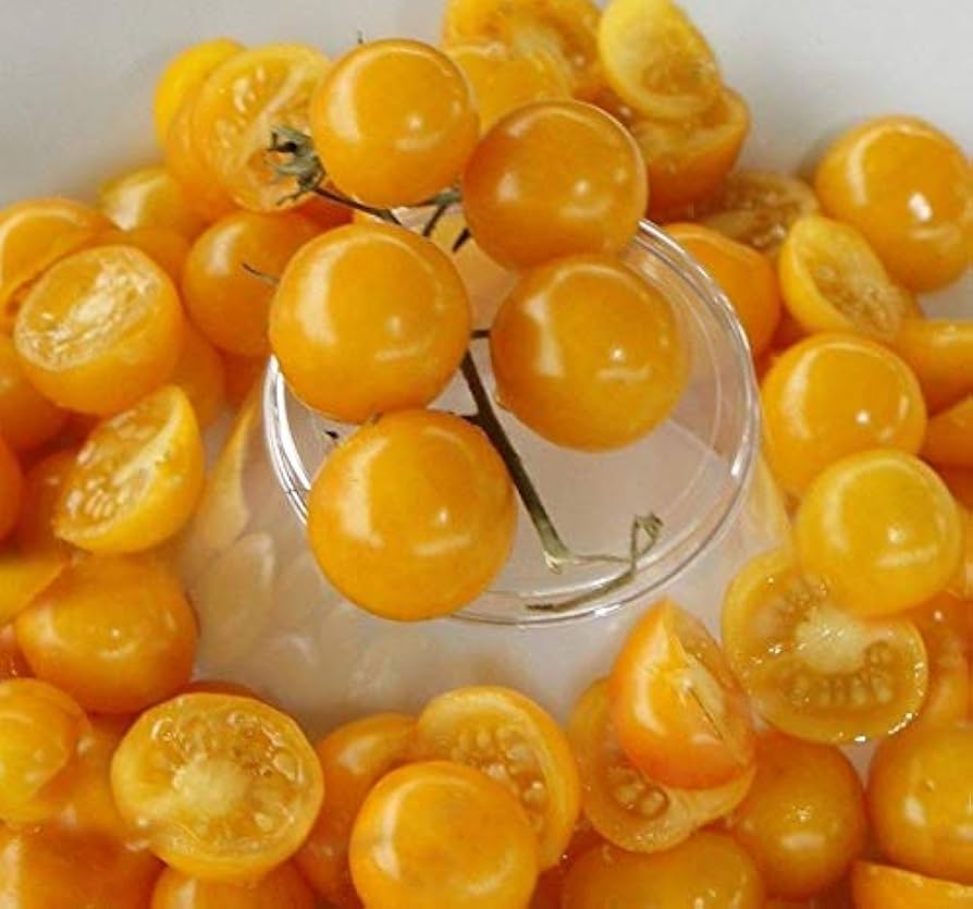 yellow aunt flower seeds