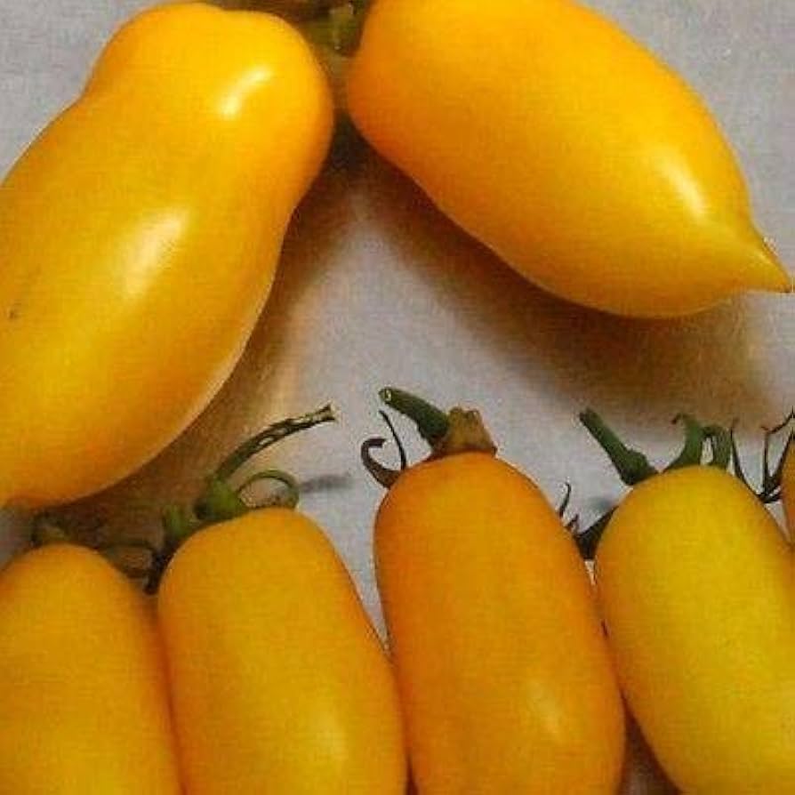 banana legs flower seeds
