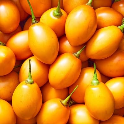 Tamarillo Seeds – Heirloom, Non-GMO, High Germination Organic Garden Seeds