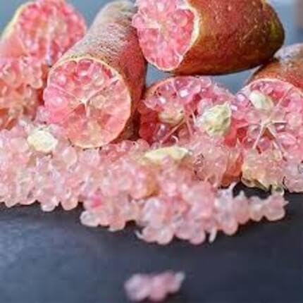 Pink Finger Lime Seeds – Heirloom, Non-GMO, High Germination Organic Garden Seeds