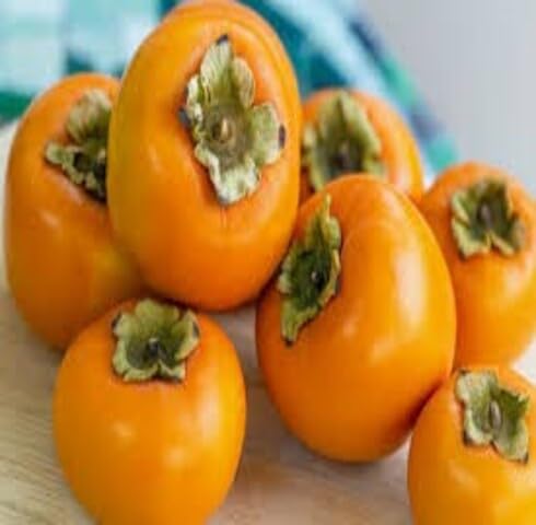 Orange Persimmon Seeds – Heirloom, Non-GMO, High Germination Organic Garden Seeds