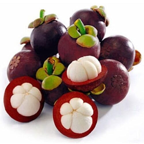 Mangostan-Samen – Alte Sorte, gentechnikfrei, hohe Keimrate, Bio-Gartensamen