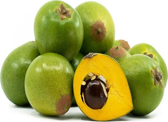 Lucuma Seeds – Heirloom, Non-GMO, High Germination Organic Garden Seeds