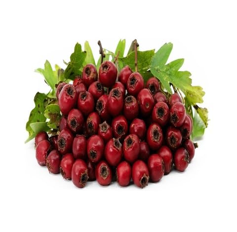 Red Hawthorn Seeds – Heirloom Non-GMO High Germination Organic Garden Seeds for Planting