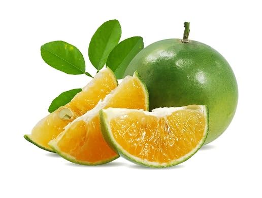 Orange Fruit Seeds – Heirloom, Non-GMO, High Germination Organic Garden Seeds