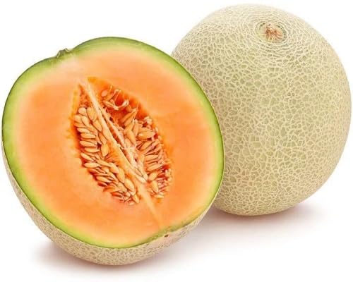 Muskmelon Seeds – Heirloom, Non-GMO, High Germination Organic Garden Seeds