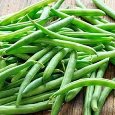 Semillas de Frijoles – Antiguas, sin OMG, de Alta Germinación, para Plantar en Jardín Orgánico