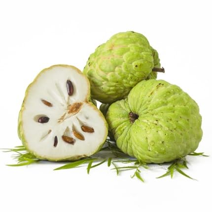 Green Custard Apple Seeds – Heirloom, Non-GMO, High Germination Organic Garden Seeds