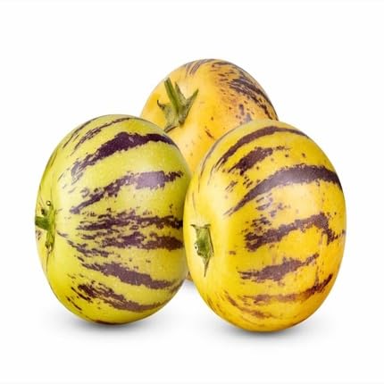 Yellow Pepino Seeds – Heirloom, Non-GMO, High Germination Organic Garden Seeds