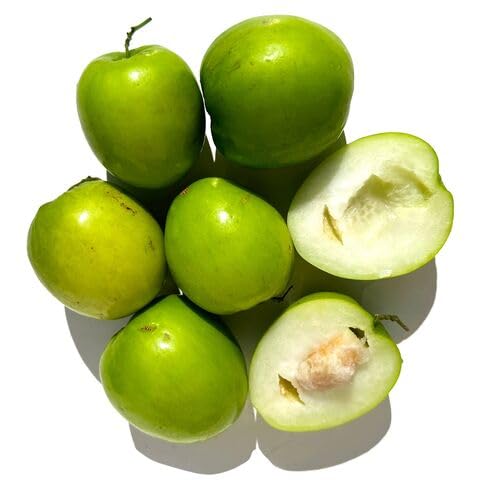 Jujube Seeds – Heirloom, Non-GMO, High Germination Organic Garden Seeds
