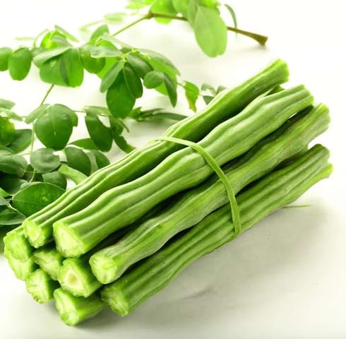 Green Moringa Seeds – Heirloom, Non-GMO, High Germination Organic Garden Seeds Planting