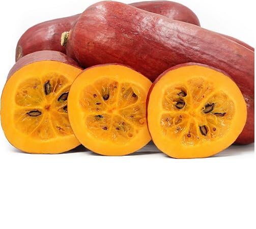 Sicana Seeds – Heirloom, Non-GMO, High Germination Organic Garden Seeds