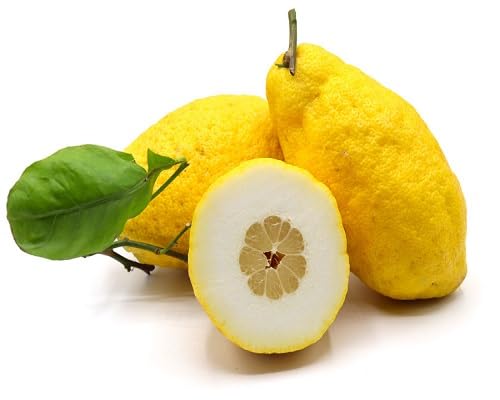 Etrog Seeds – Heirloom, Non-GMO, High Germination Organic Garden Seeds