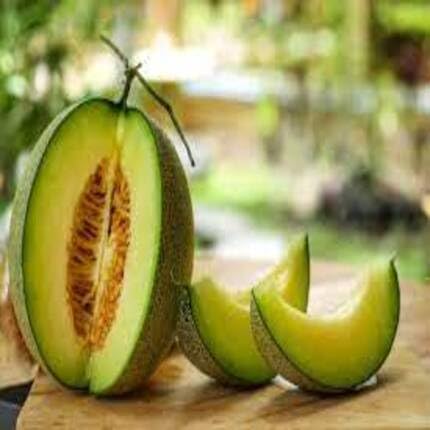 Green Musk Melon Seeds – Heirloom, Non-GMO, High Germination Organic Garden Seeds