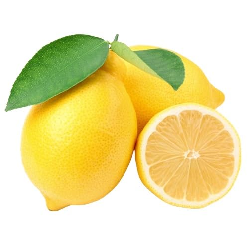Lemon Seeds – Heirloom, Non-GMO, High Germination Organic Garden Seeds
