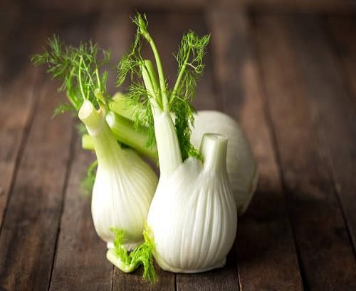 Fennel Seeds – Heirloom, Non-GMO, High Germination Organic Garden Seeds Planting
