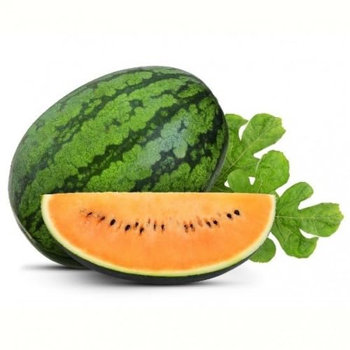 Orange Watermelon Seeds – Heirloom, Non-GMO, High Germination Organic Garden Seeds
