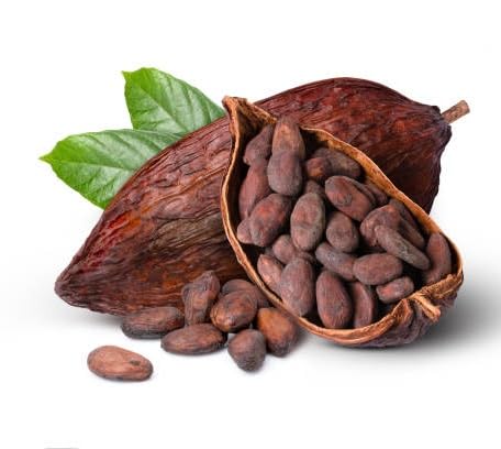 Cacao Seeds – Heirloom, Non-GMO, High Germination Organic Garden Seeds for Planting