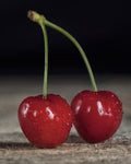 Barry’s Cherry Fruit Seeds for Planting – Heirloom Non-GMO High Germination Organic Garden Seeds Sweet Juicy Cherries 100 pcs Seeds for Planting