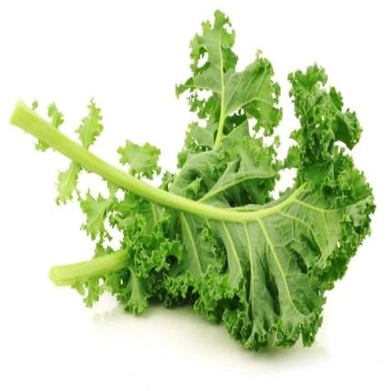 Green Kale Seeds – Heirloom, Non-GMO, High Germination Organic Garden Seeds Planting
