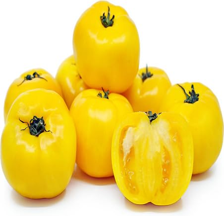 Semillas de tomate amarillo – Herencia, sin OGM, alta germinación Semillas de jardín orgánicas para plantar