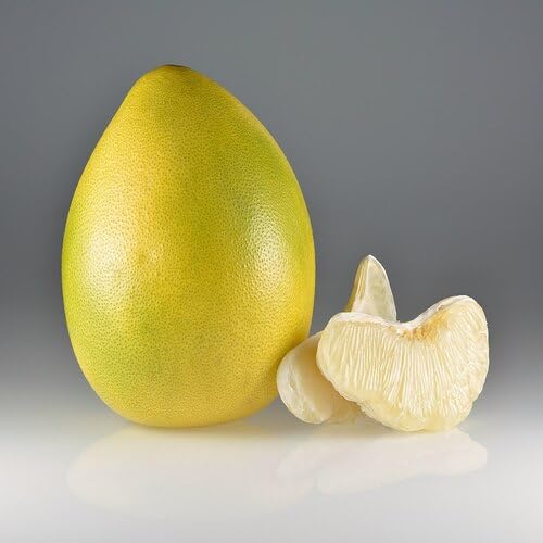 Pomelo Seeds – Heirloom, Non-GMO, High Germination Organic Garden Seeds