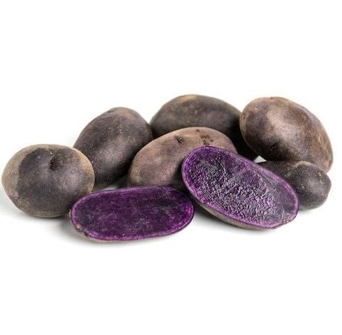 Purple Potato Seeds – Heirloom, Non-GMO, High Germination Organic Garden Seeds Planting