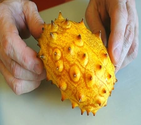 Kiwano Fruit Seeds – Heirloom, Non-GMO, High Germination Organic Garden Seeds