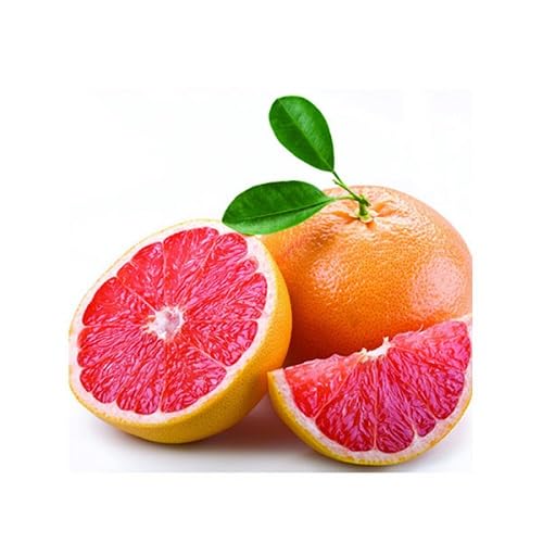 Red Grapefruit Seeds – Heirloom, Non-GMO, High Germination Organic Garden Seeds