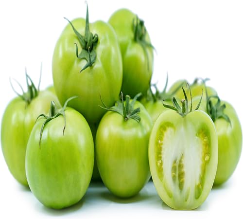 Grüne Tomatensamen – Alte Sorte, gentechnikfrei, keimstark, Bio-Gartensamen zum Anpflanzen