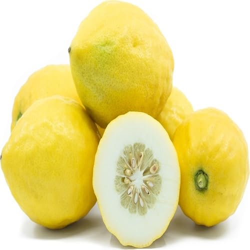Yellow Etrog Seeds – Heirloom, Non-GMO, High Germination Organic Garden Seeds