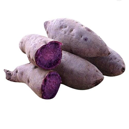 Sweet Potato Seeds – Heirloom, Non-GMO, High Germination Organic Garden Seeds Planting