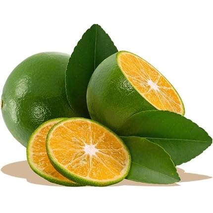 Green Calamansi Seeds – Heirloom, Non-GMO, High Germination Organic Garden Seeds