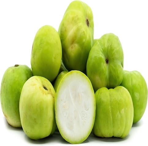 Tinda Seeds Heirloom Non-GMO High Germination Organic Garden Seeds for Planting