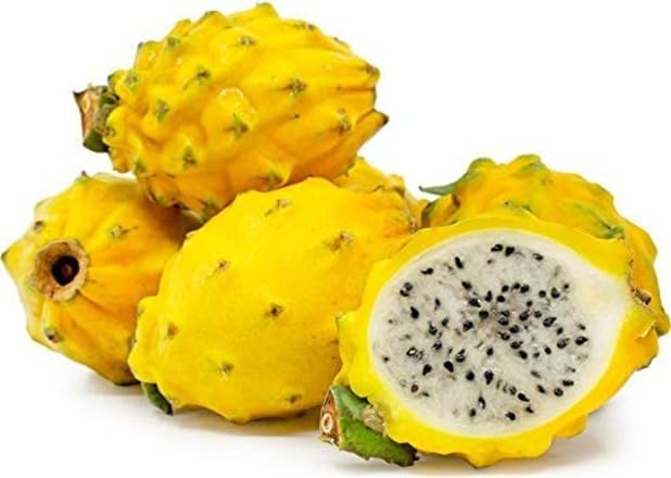 Pitaya Seeds – Heirloom, Non-GMO, High Germination Organic Garden Seeds