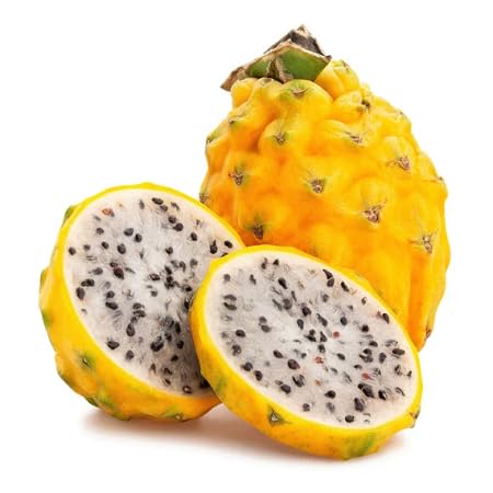 Pitaya Seeds – Heirloom, Non-GMO, High Germination Organic Garden Seeds