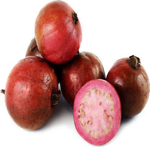 Red Guava Seeds – Heirloom, Non-GMO, High Germination Organic Garden Seeds for Planting