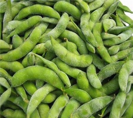 Edamame Seeds – Heirloom, Non-GMO, High Germination Organic Garden Seeds Planting