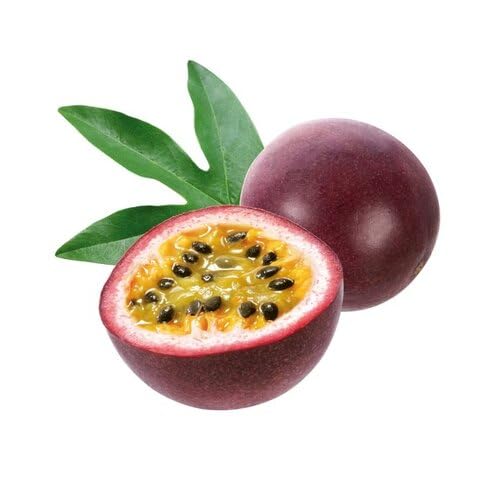 Purple Passiflora Seeds Heirloom Non-GMO High Germination Organic Garden Seeds