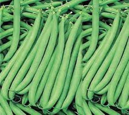 Polebean Seeds – Heirloom, Non-GMO, High Germination Organic Garden Seeds Planting