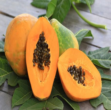Orange Papaya Seeds – Heirloom, Non-GMO, High Germination Organic Garden Seeds