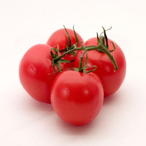 Red Tomato Seeds – Heirloom, Non-GMO, High Germination Organic Garden Seeds Planting