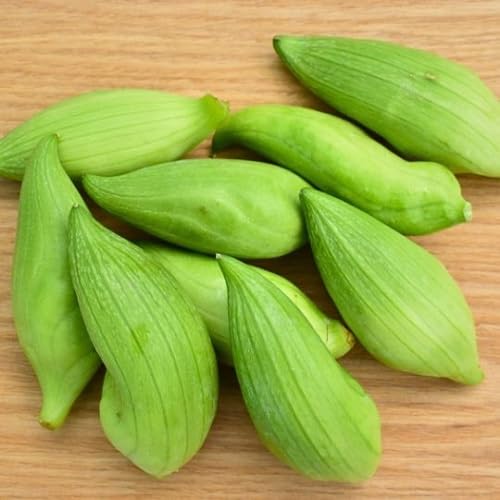 Green Caigua Seeds – Heirloom, Non-GMO, High Germination Organic Garden Seeds Planting
