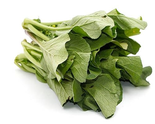Mostaza Verde – Semillas de Jardín Orgánicas de Variedad Tradicional, No Modificadas Genéticamente, de Alta Germinación para Siembra
